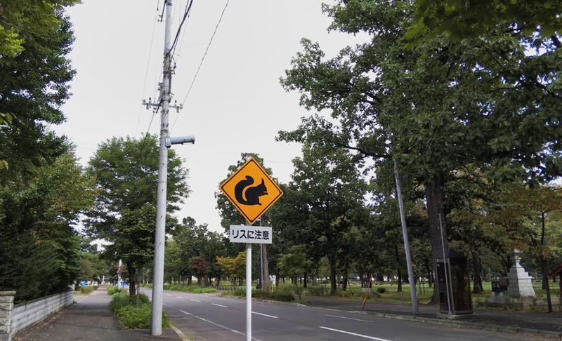 リスに注意の道路標識